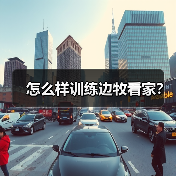怎么样训练边牧看家？（图3）