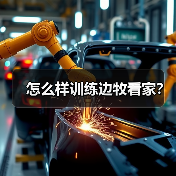 怎么样训练边牧看家？