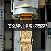 怎么样训练边牧看家？（图4）