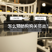 怎么预防狗狗关节炎？