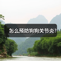 怎么预防狗狗关节炎？（图4）
