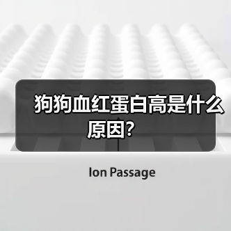 狗狗血红蛋白高是什么原因？（图1）