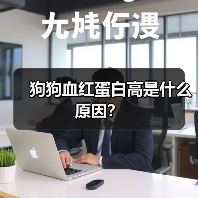 狗狗血红蛋白高是什么原因？（图2）