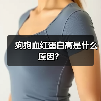 狗狗血红蛋白高是什么原因？（图4）