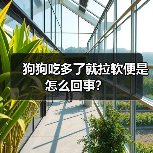 狗狗吃多了就拉软便是怎么回事？（图2）