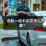 仓鼠一动不动是怎么回事？（图1）