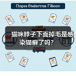 猫咪脖子下面掉毛是感染猫癣了吗？（图1）
