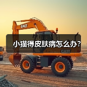 小猫得皮肤病怎么办？