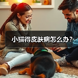 小猫得皮肤病怎么办？（图3）