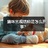 猫咪出现结痂是怎么回事？（图2）