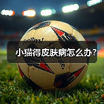 小猫得皮肤病怎么办？（图4）