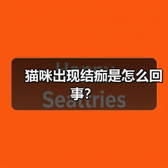 猫咪出现结痂是怎么回事？（图4）