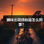 猫咪出现结痂是怎么回事？（图3）