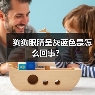 狗狗眼睛呈灰蓝色是怎么回事？