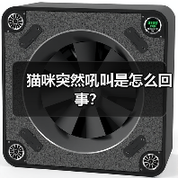 猫咪突然吼叫是怎么回事？