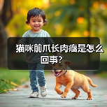 猫咪前爪长肉瘤是怎么回事？（图3）