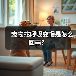 宠物蛇呼吸变慢是怎么回事？（图3）