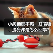 小狗萎靡不振，打喷嚏、流鼻涕是怎么回事？（图1）
