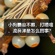 小狗萎靡不振，打喷嚏、流鼻涕是怎么回事？（图2）