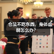 仓鼠不吃东西、身体虚弱怎么办？（图4）
