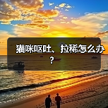 猫咪呕吐、拉稀怎么办？