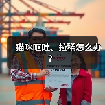 猫咪呕吐、拉稀怎么办？（图3）