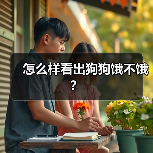 怎么样看出狗狗饿不饿？