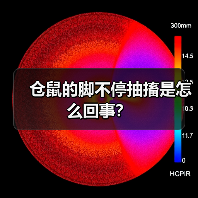 仓鼠的脚不停抽搐是怎么回事?(图1) 仓鼠的脚不停抽搐是怎么回事?(图1)