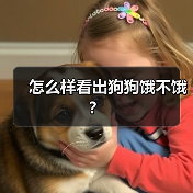 怎么样看出狗狗饿不饿？（图3）