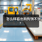 怎么样看出狗狗饿不饿？（图4）