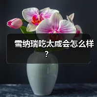 雪纳瑞吃太咸会怎么样？（图1）