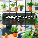 雪纳瑞吃太咸会怎么样？（图3）