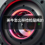 英牛怎么样检验是纯的？（图4）