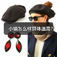 小猫怎么样算体温高？（图3）