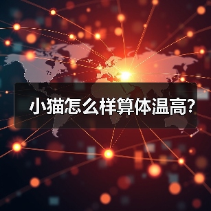 小猫怎么样算体温高？（图2）