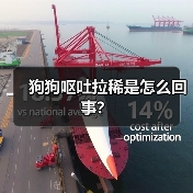 狗狗呕吐拉稀是怎么回事？（图1）
