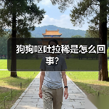 狗狗呕吐拉稀是怎么回事？（图3）