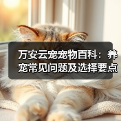 万安云宠宠物百科:养宠常见问题及选择要点,新手必看(图3) 万安云宠宠物百科:养宠常见问题及选择要点,新手必看(图3)