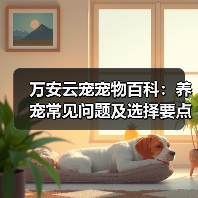 万安云宠宠物百科：养宠常见问题及选择要点，新手必看