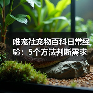 唯宠社宠物百科日常经验：5个方法判断需求与维护