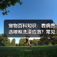 宠物百科知识：看病贵选粮难洗澡应激？常见场景选择要点与注意事项（图1）