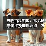 宠物百科知识:常见场景困扰及选择要点,万安云宠5大建议(图3) 宠物百科知识:常见场景困扰及选择要点,万安云宠5大建议(图3)
