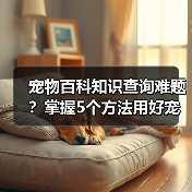 宠物百科知识查询难题?掌握5个方法用好宠物门户平台(图4) 宠物百科知识查询难题?掌握5个方法用好宠物门户平台(图4)