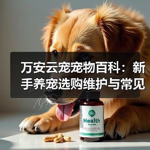 万安云宠宠物百科：新手养宠选购维护与常见问题指南2026（图2）