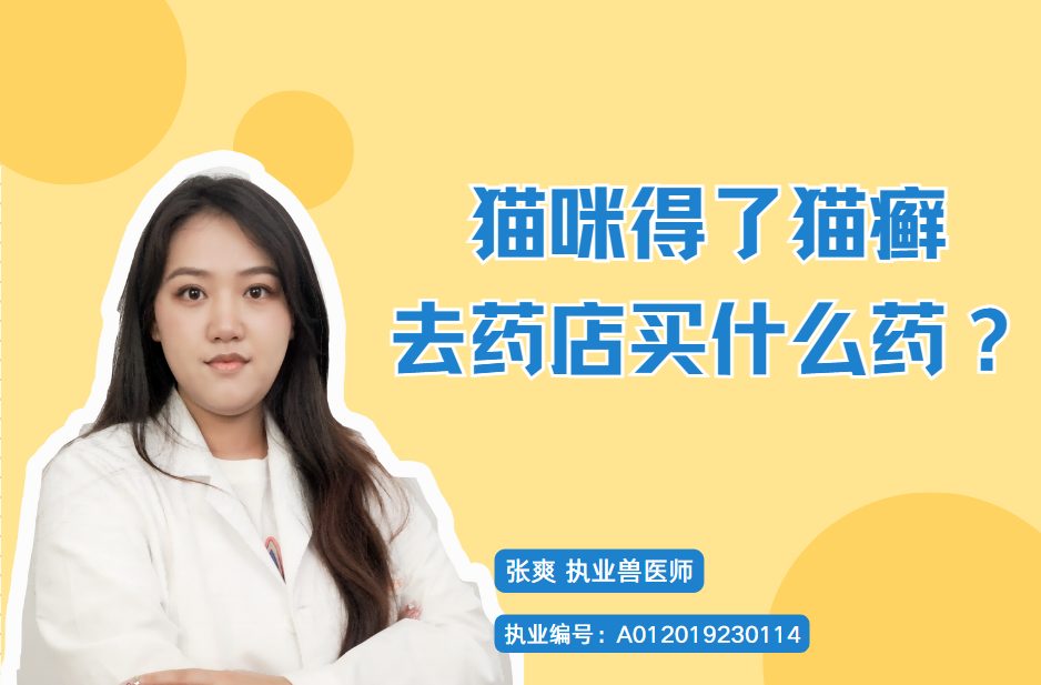 猫咪得了猫癣去药店买什么药?