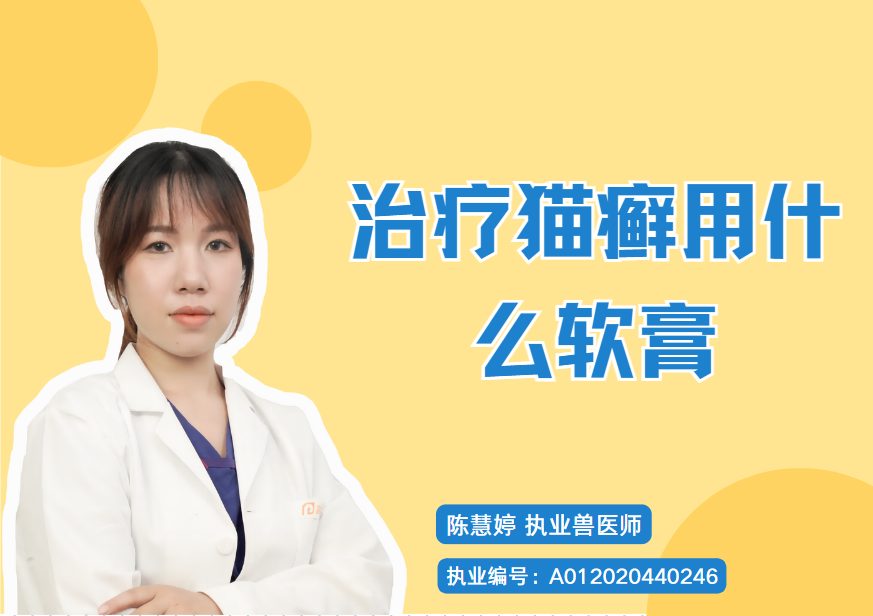 治疗猫癣用什么软膏?