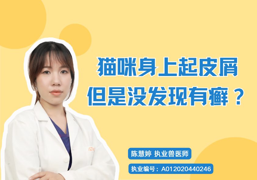 猫咪身上起皮屑但是没发现有癣是怎么回事？