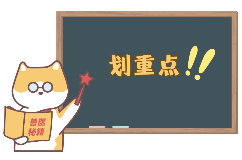 猫癣的治疗方法