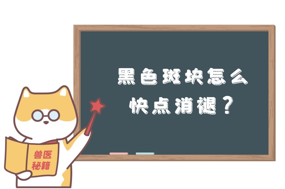猫咪皮肤病变成黑色斑块
