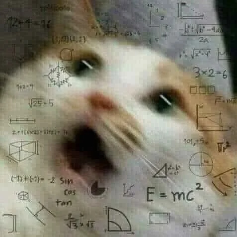 猫癣抹碘伏有用吗?